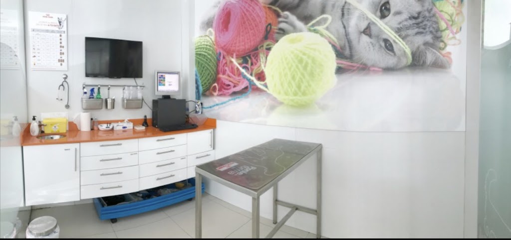 Hospital Veterinario Alcor — Del propietario