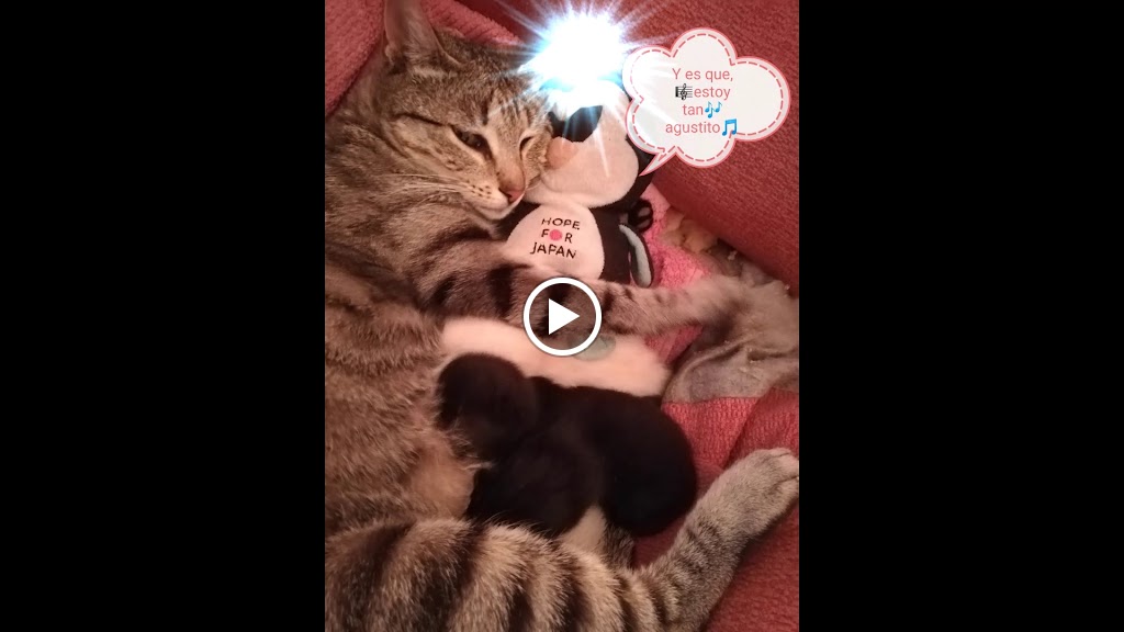 ITV Tudela — Videos