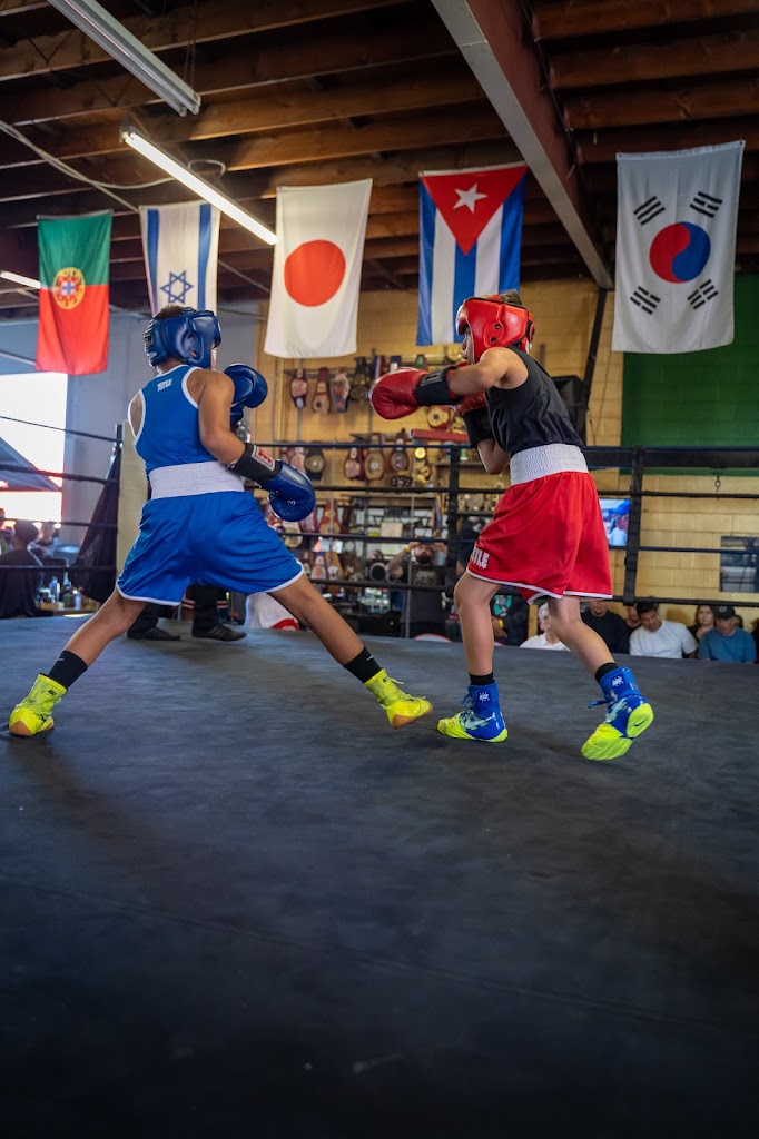  JackRabbit Boxing Academy