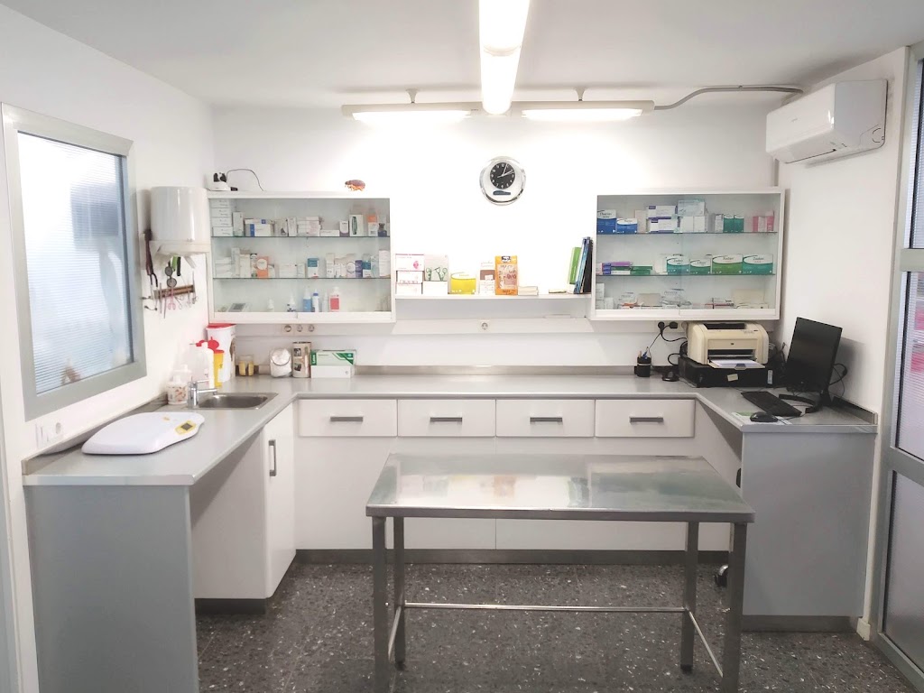 Clinica Veterinaria San Fernando, Palma de Mallorca — Del propietario