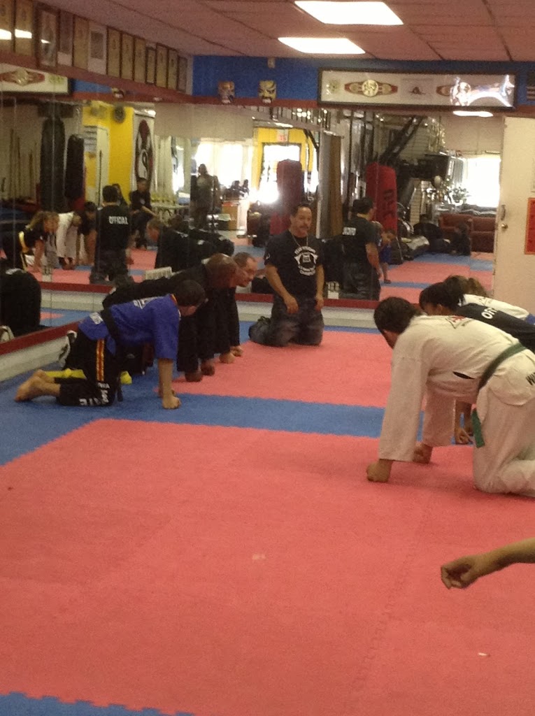  Universal Warrior Mixed Martial Arts