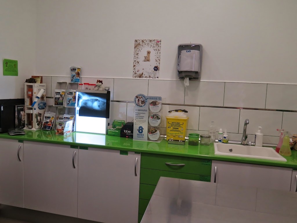 Centro Veterinario Bitxos — Del propietario