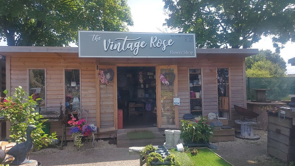 The vintage rose flower shop