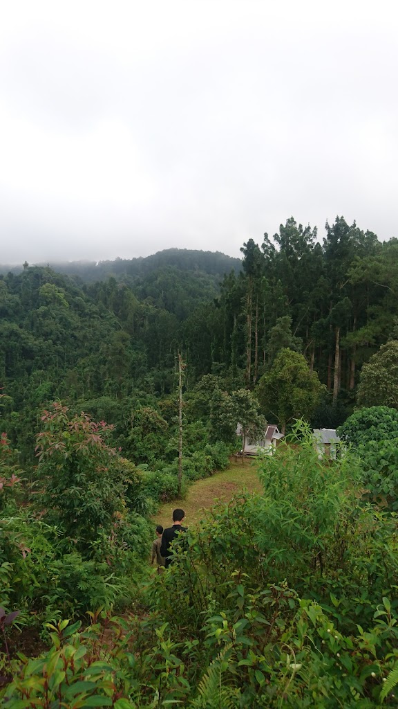 Bukit Pandang, Desa Ketenger