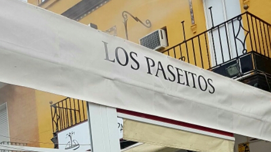 Bar Nuevo paseitos — Del propietario