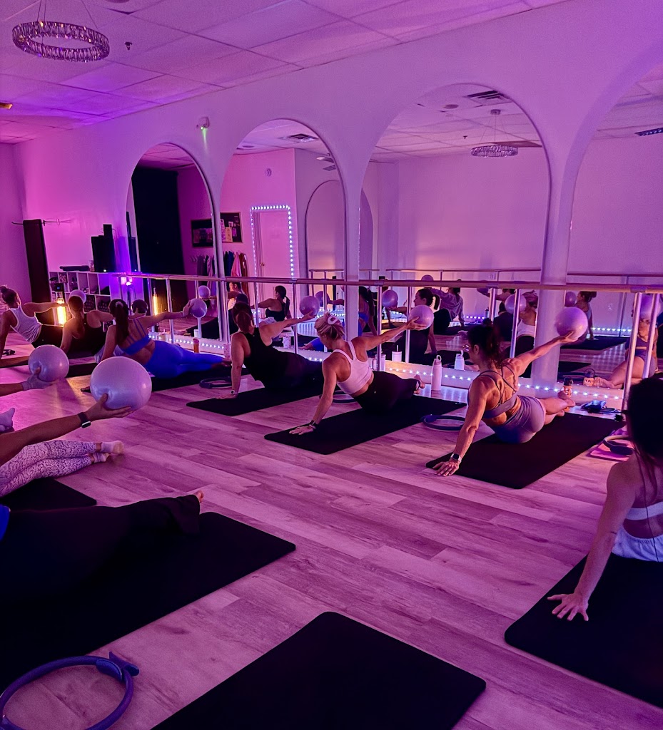  ALCHEMY X South Jersey