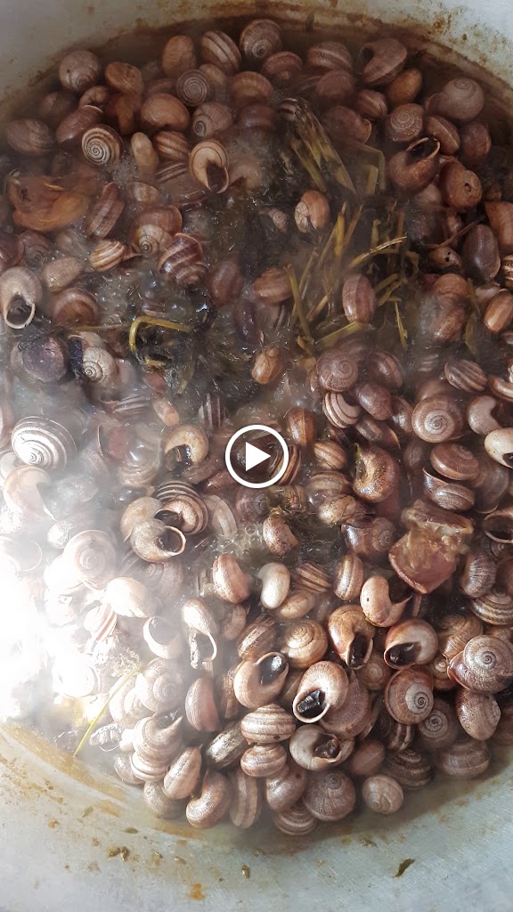 Cafe Portol — Videos