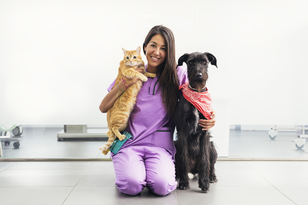 Anade Centro Veterinario — Del propietario