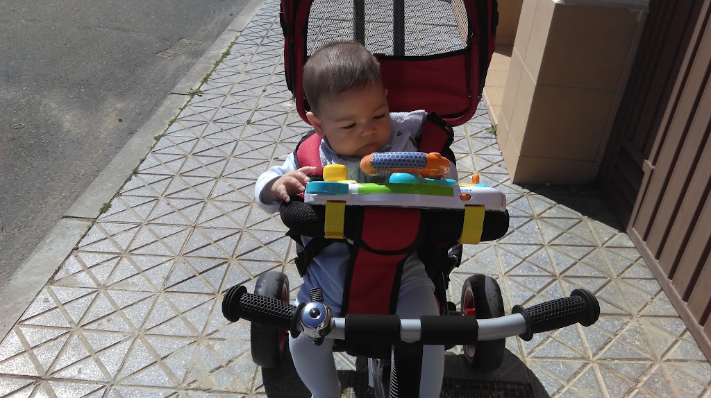 Zona exclusiva para perros