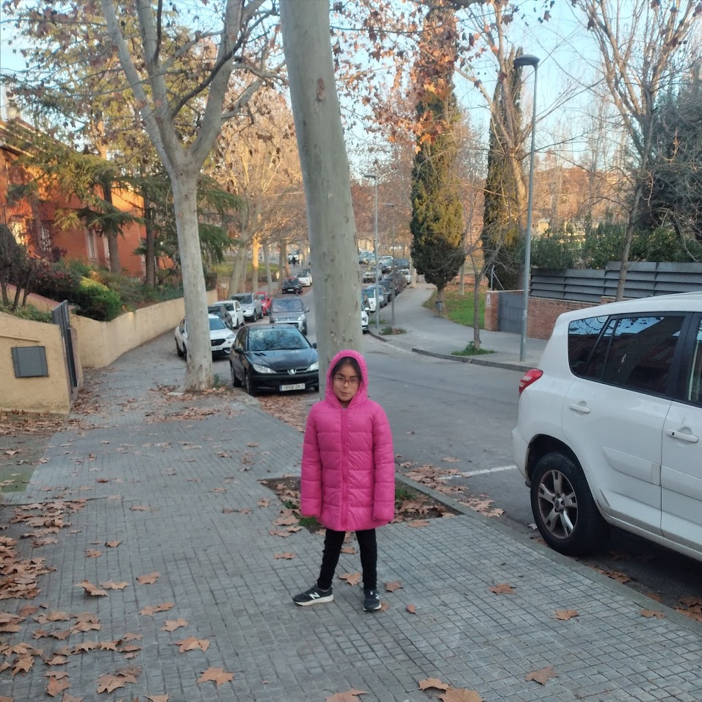 Escuela Pins del Valles