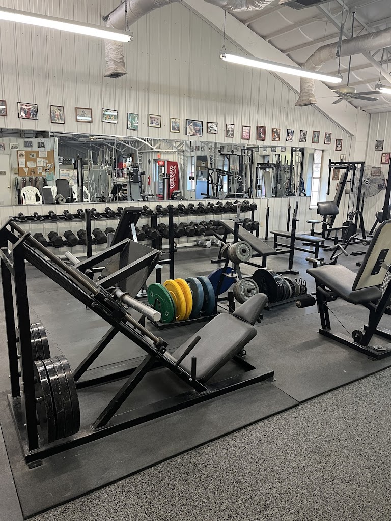  Crain's Muscle World