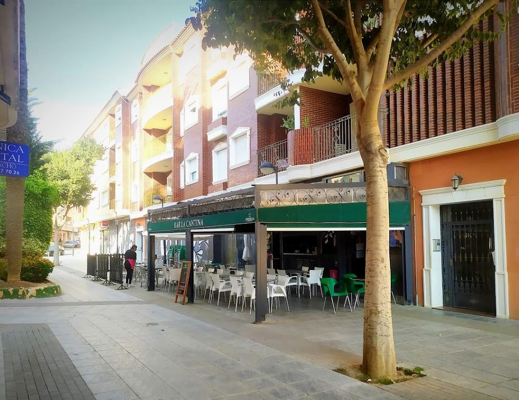 Bar Terraza -La Cantina- — Del propietario
