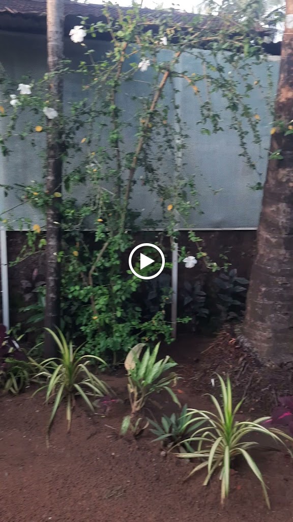 Videos
