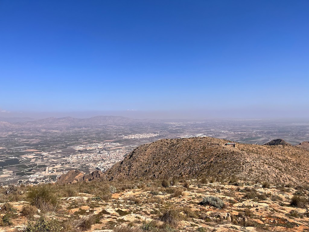 Pico del Aguila