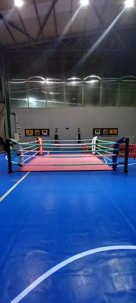 VF Entrenador Personal