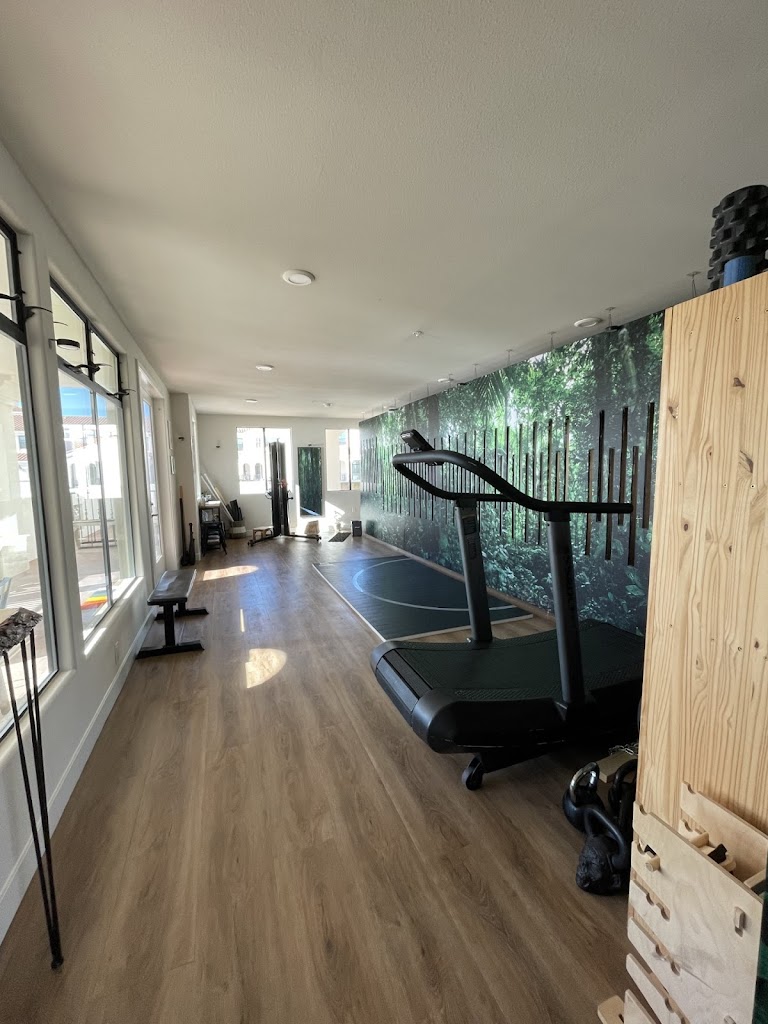  Essential Human Movement