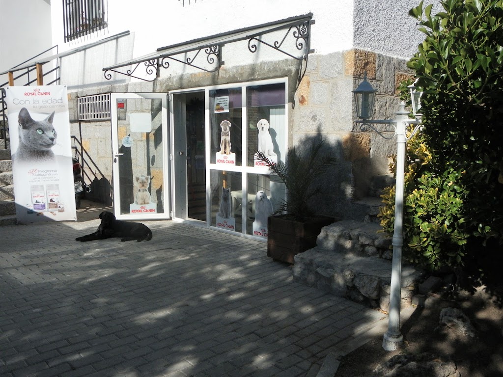 Clinica Veterinaria Pinar de Pozuelo