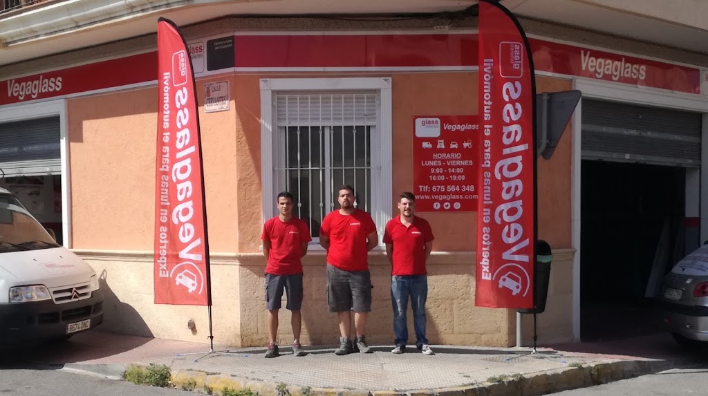 Vegaglass — Del propietario