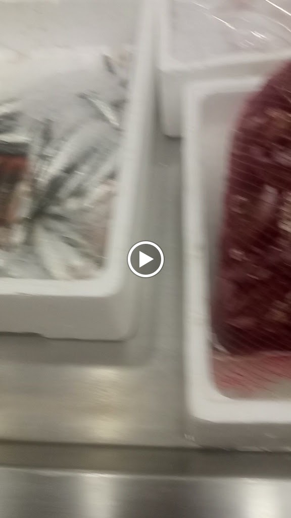 Marisqueria La Lonja Malaguena — Videos