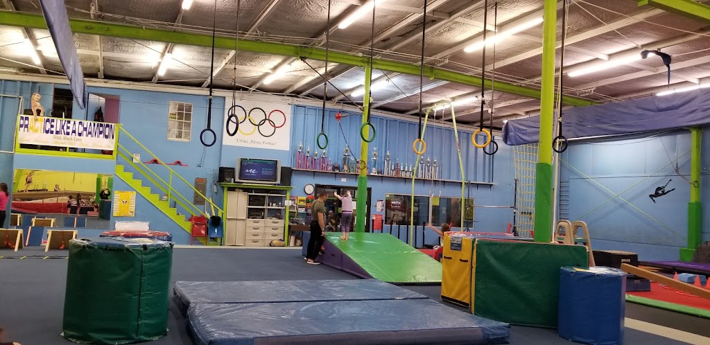  Bozhi's Gym Nest Inc