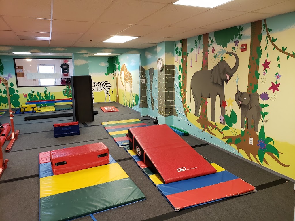  National Elite Gymnastics