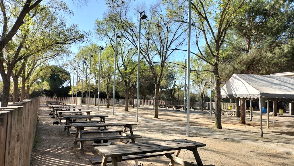 Bosque de los Pinetones