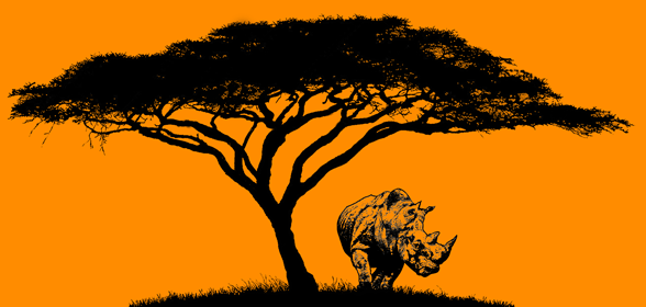 Mad Rhino Consulting