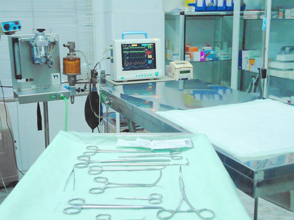 Centro Veterinario ARGOS San Fernando — Del propietario