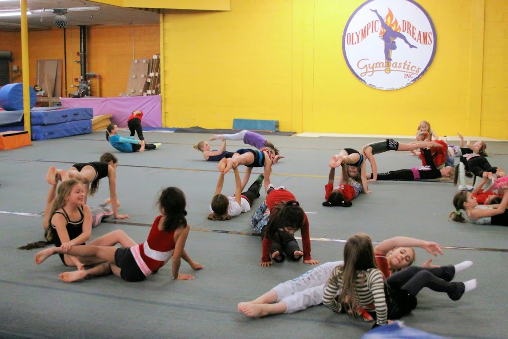  Olympic Dreams Gymnastics