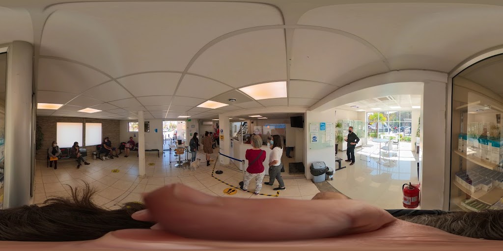 Street View y 360°