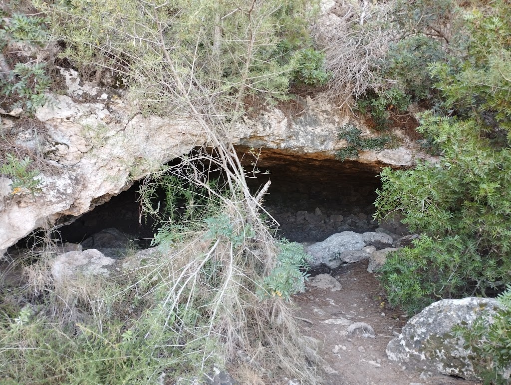 Cova de la Gota