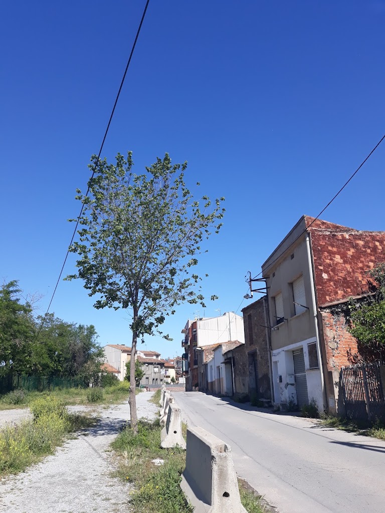 Nuria Provinciale - Artista