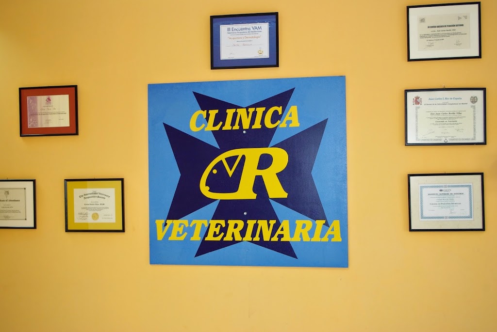 Clinica Veterinaria Port Des Torrent — Del propietario