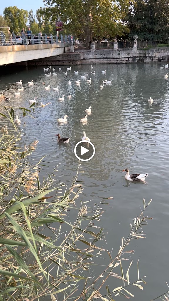 El Curiosity: Barco Turistico de Aranjuez — Videos