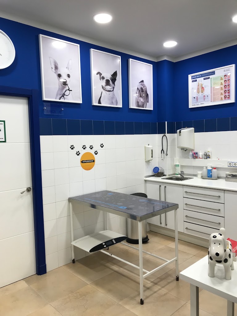 Centro Veterinario Equus Can — Del propietario
