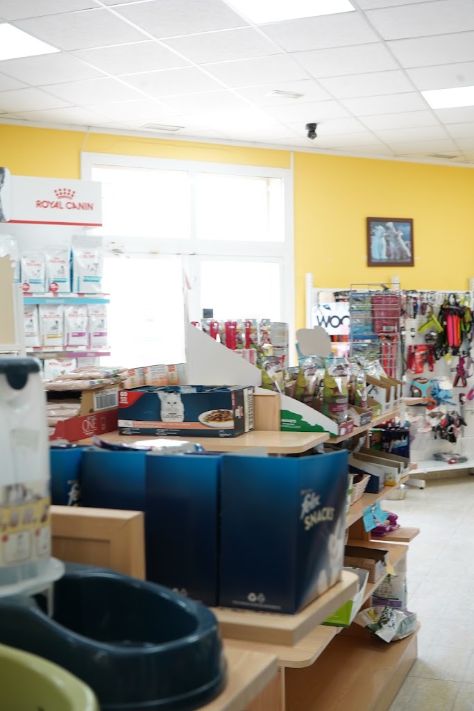Clinica Veterinaria San Anton Ciudad Quesada — Del propietario