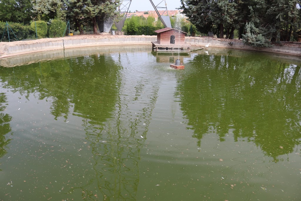 Parque de los patos