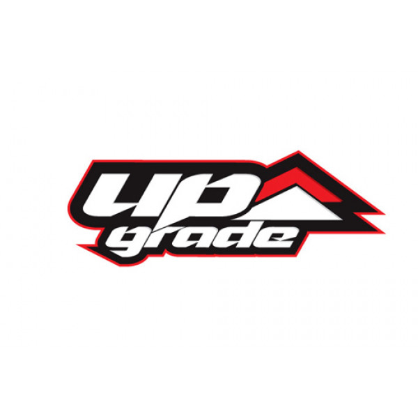 UpgradeSkin
