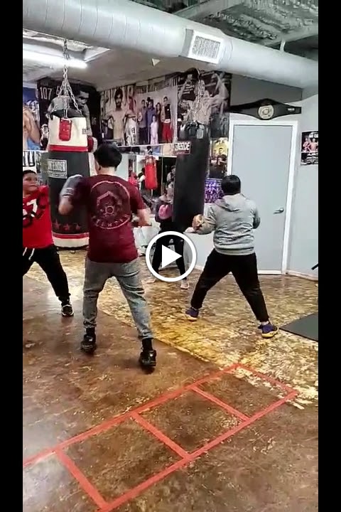  Two gloves boxing gym