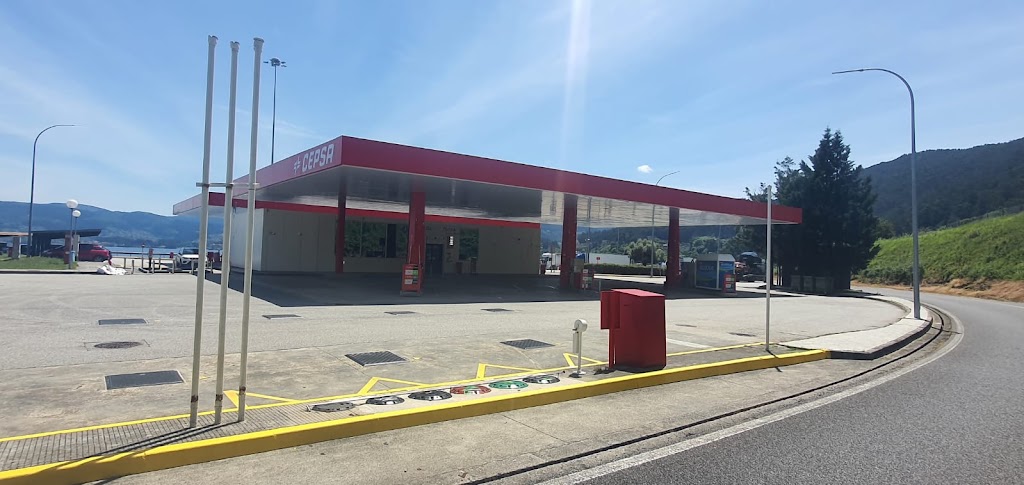 Estacion de Servicio CEPSA San Simon — Surtidor de combustible