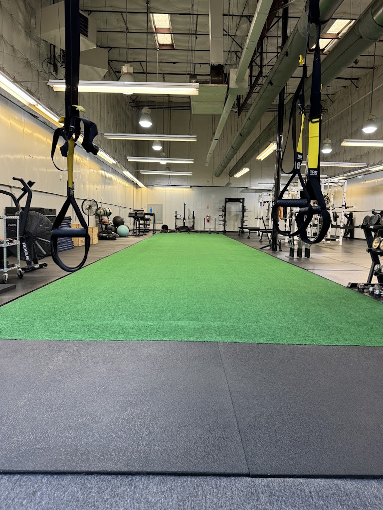  SAPT: Strength and Performance Training