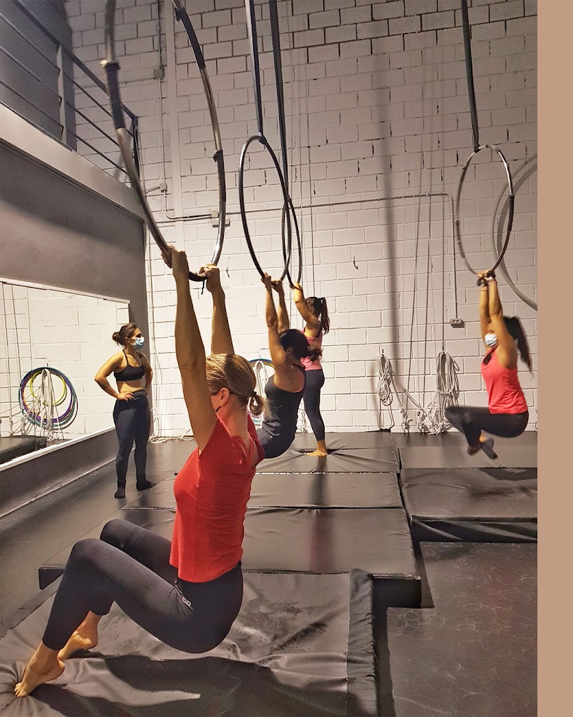 Mirlo Danza Aerea y Deporte