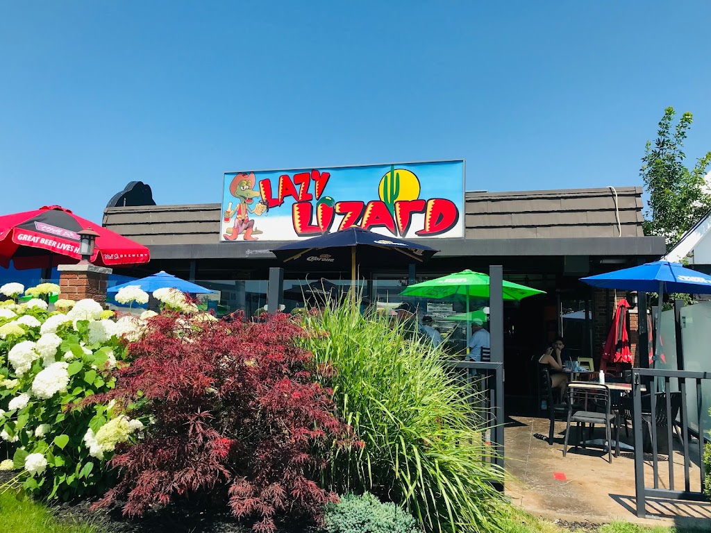 Lazy Lizard in St-Catharines