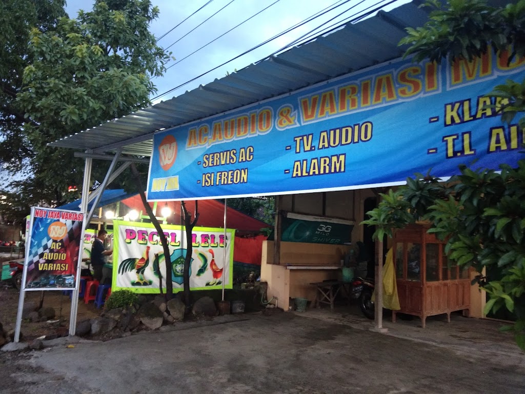 Nj variasi