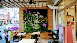 642b6645dbf53b7e7e2e1899 的照片