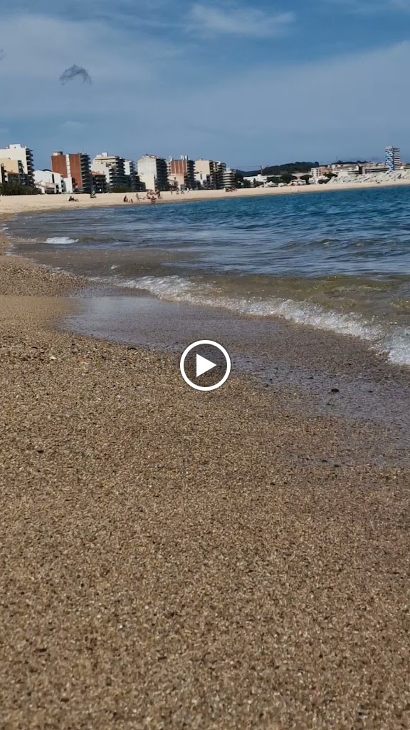 Bar Cafeteria Sant Antoni — Videos