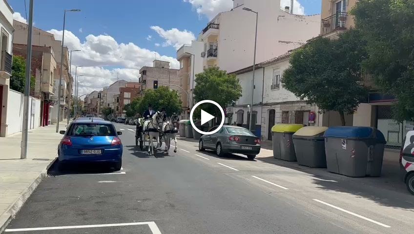 Coches de caballos carruajes Nacho — Del propietario