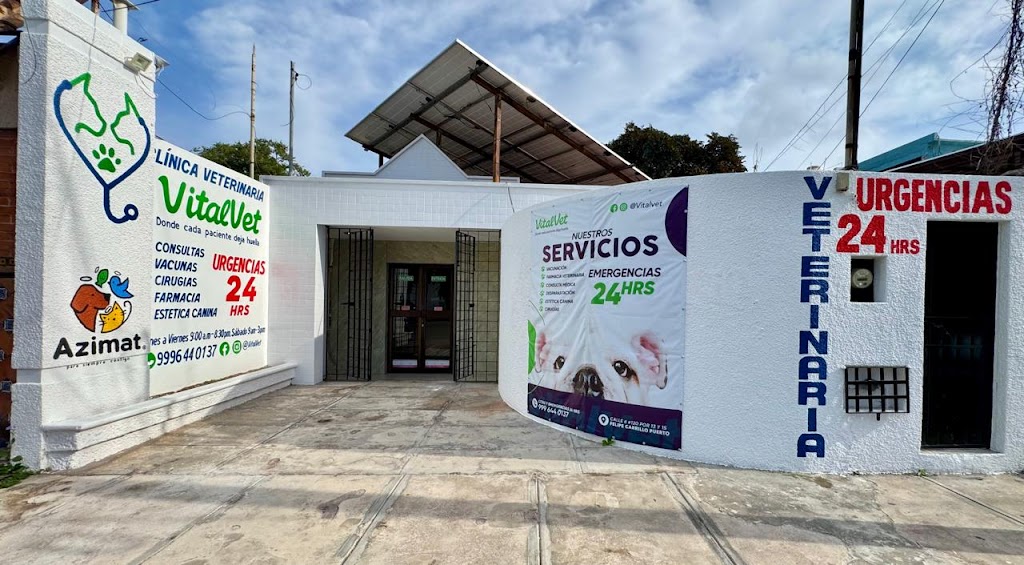 Clinica veterinaria VitalVet