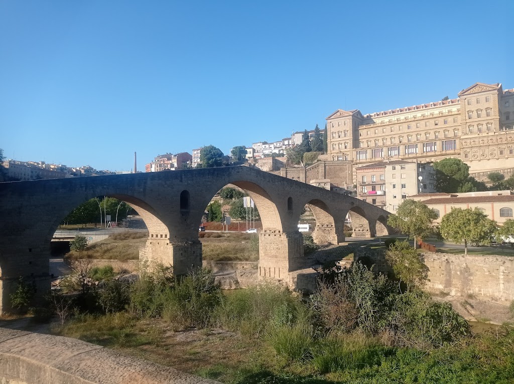 Pont Vell de Manresa