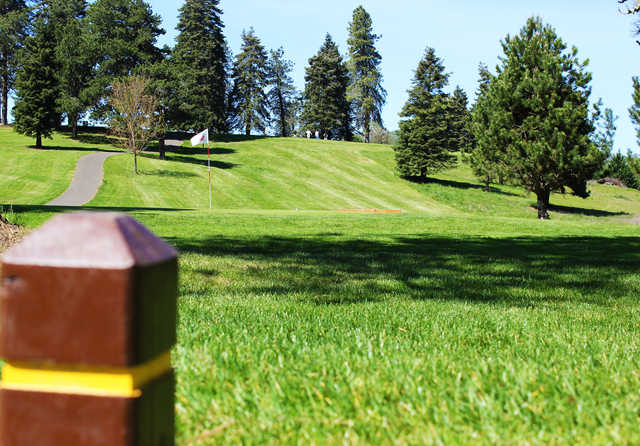  Stewart Park Golf Course